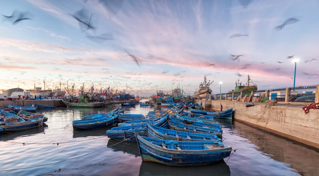 Boats in the Waters of Essaouira