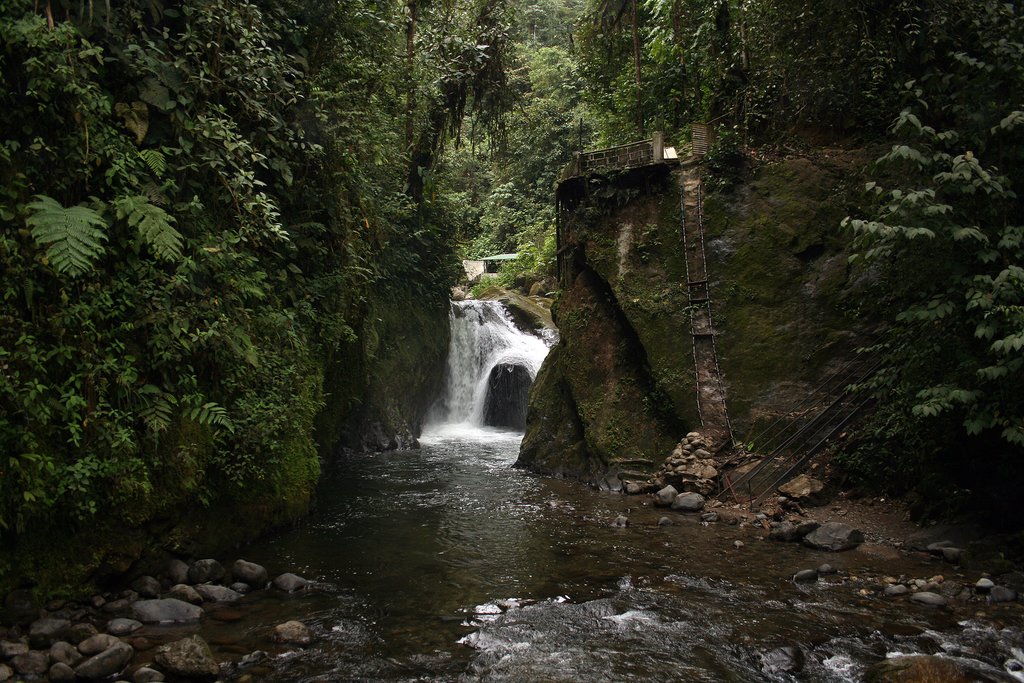 A waterfall rushing into a canyon in the cloud forest in Mindo, Ecuador