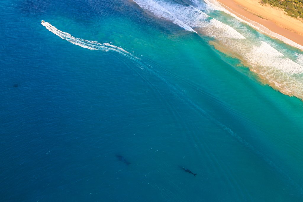 Wave to the waves