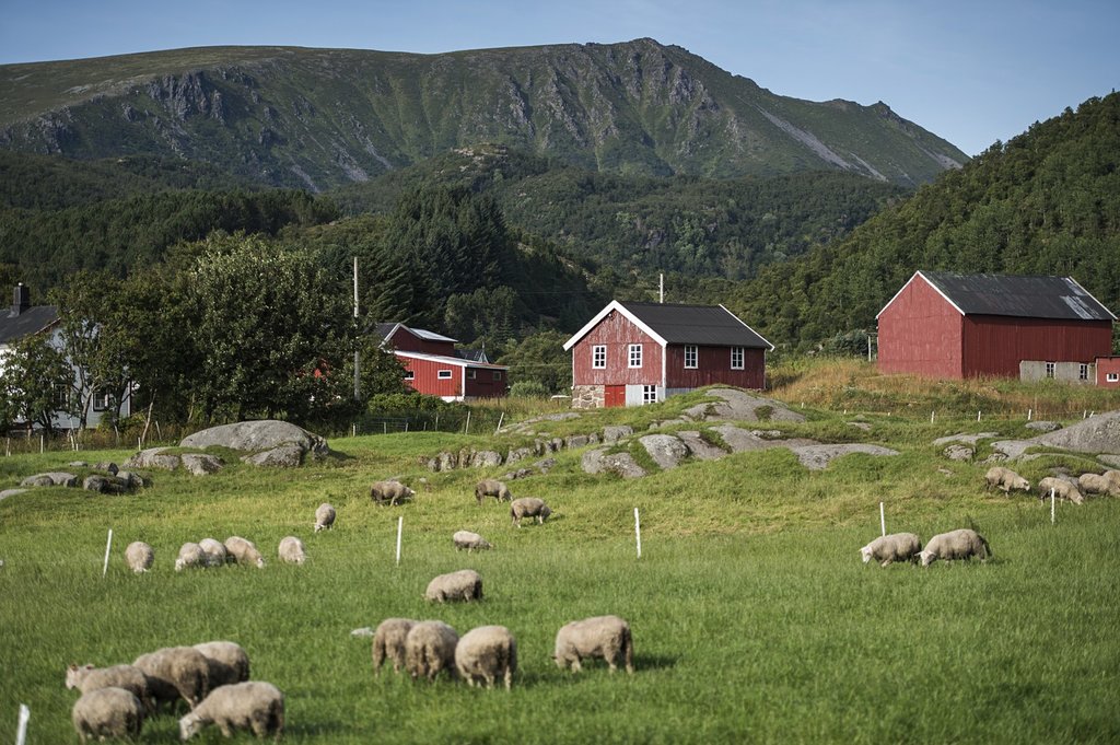 Scenery on your way to Finnsnes