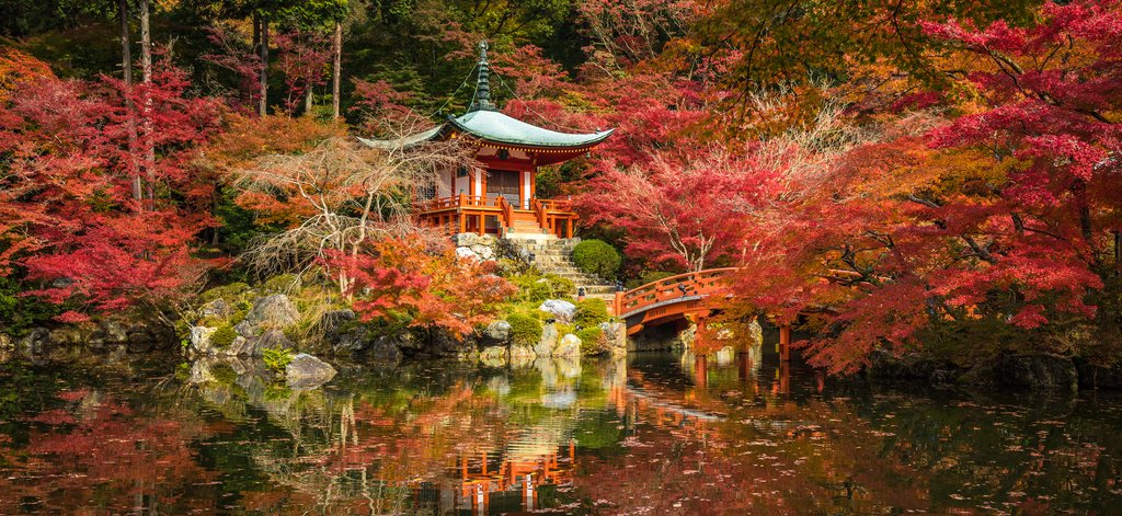 Beautiful Kyoto in Autumn
