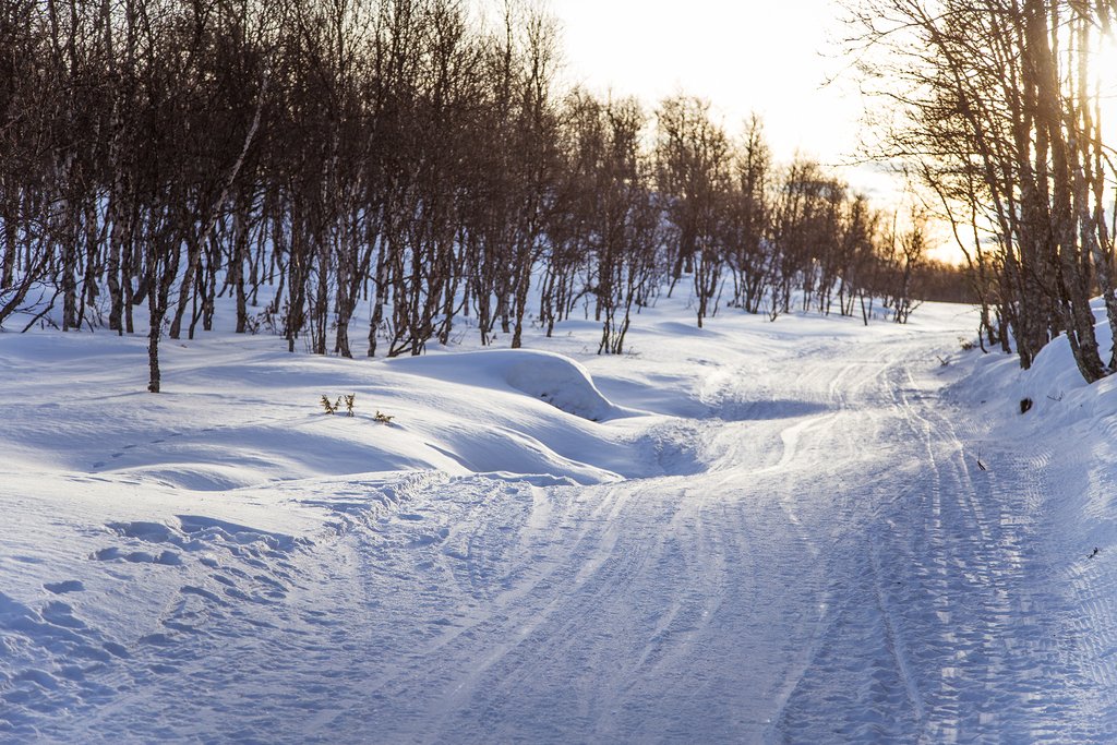 Snowmobiling tracks in the wilderness