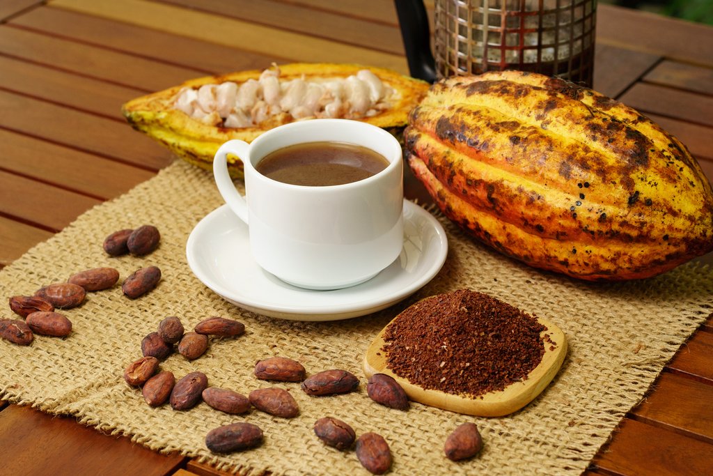 Hot brewed cacao drink, raw cocoa fruit, cacao beans, and caco nibs