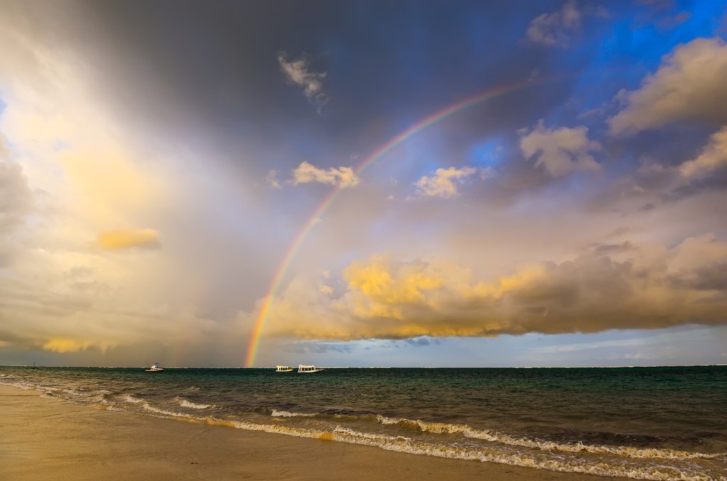 Catch one more morning at the beach before departing