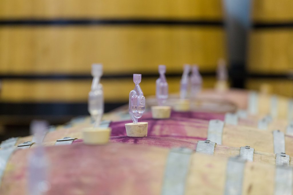 Winemaking in action