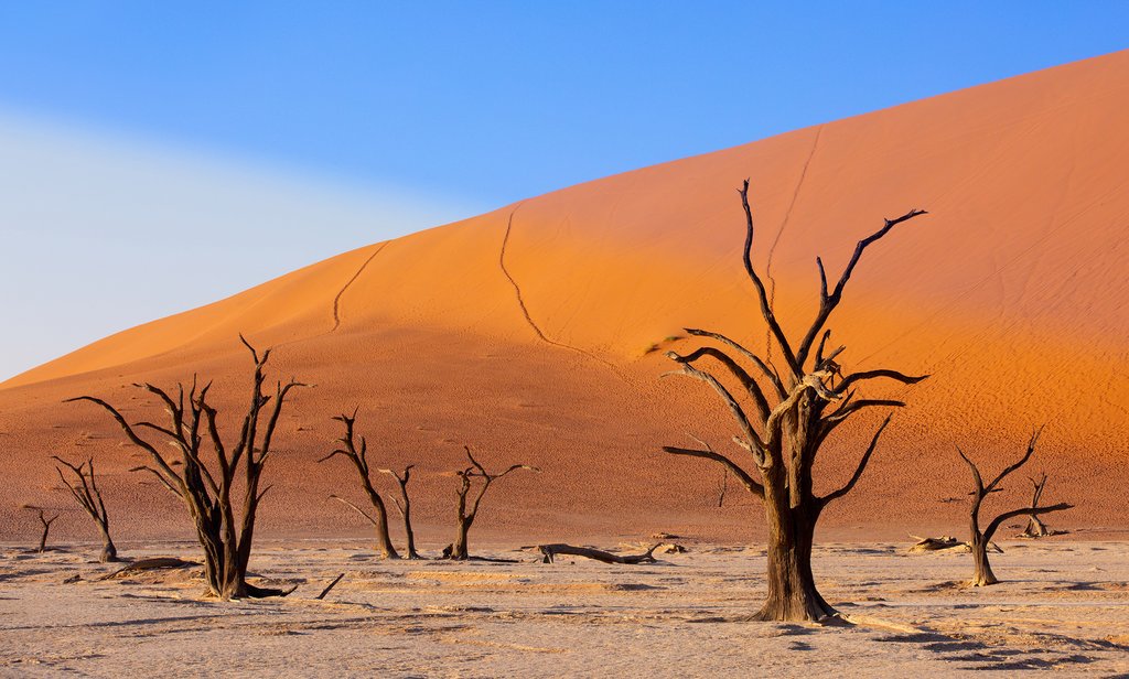 Namib Desert