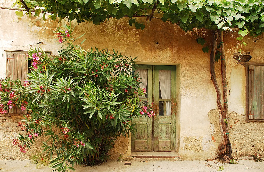 A house in Goriška Brda's Smartno village