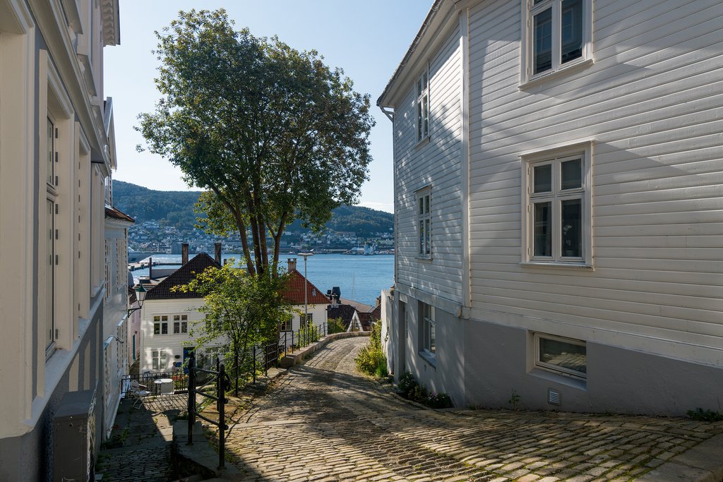Walk through hidden cobbled streets of Bergen with a local guide