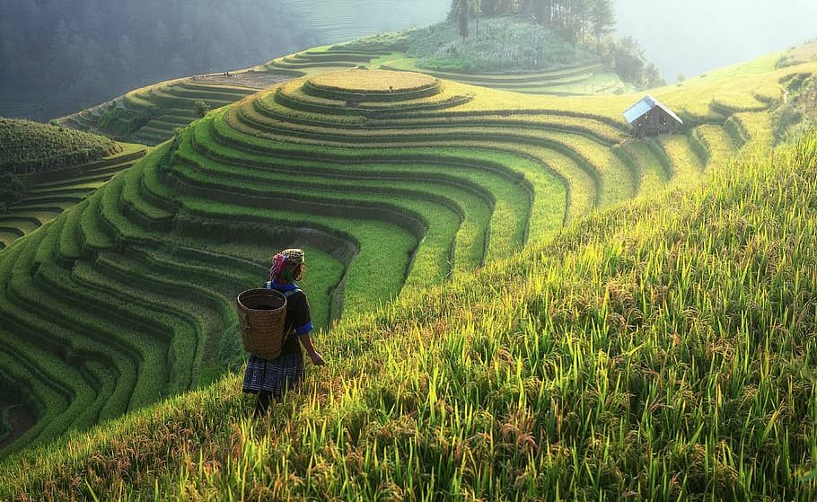 Enjoy the trip to Lao Chai