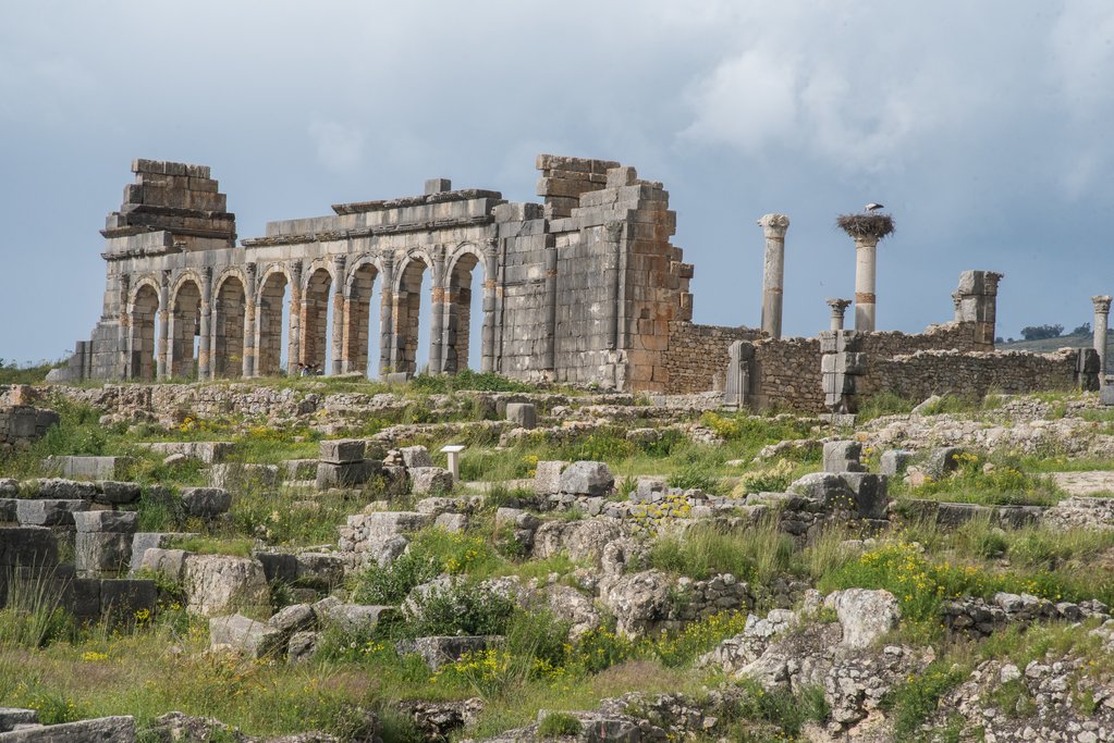 Volubilis Roman ruins, Morocco