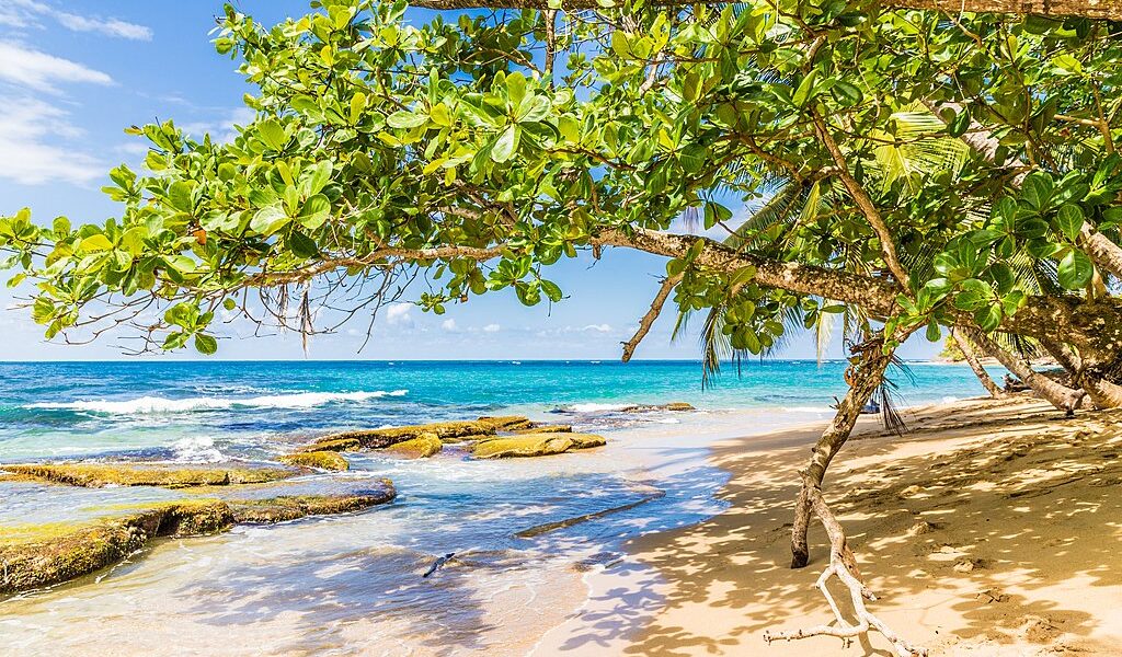 Punta Uva, Puerto Viejo, Costa Rica. March 2018. A View Of The B