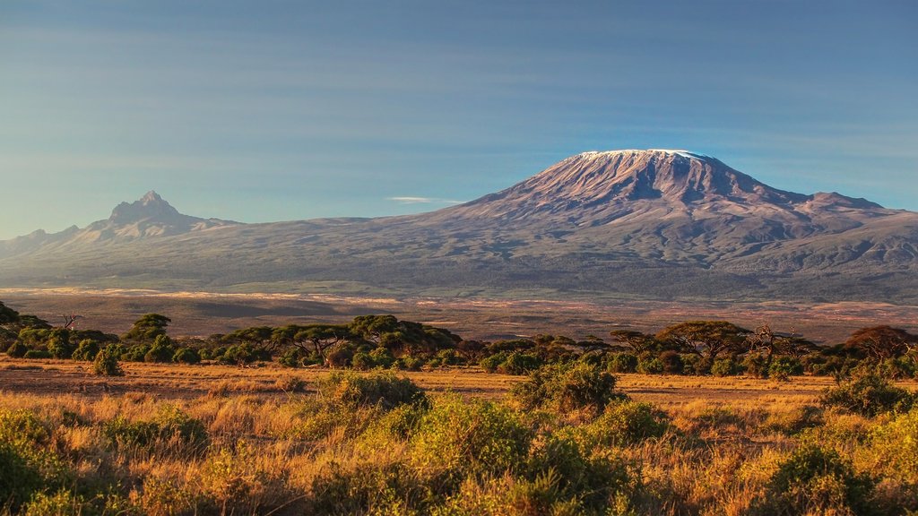 Elephants in Amboseli at the bottom of Mt. Kilimanjaro