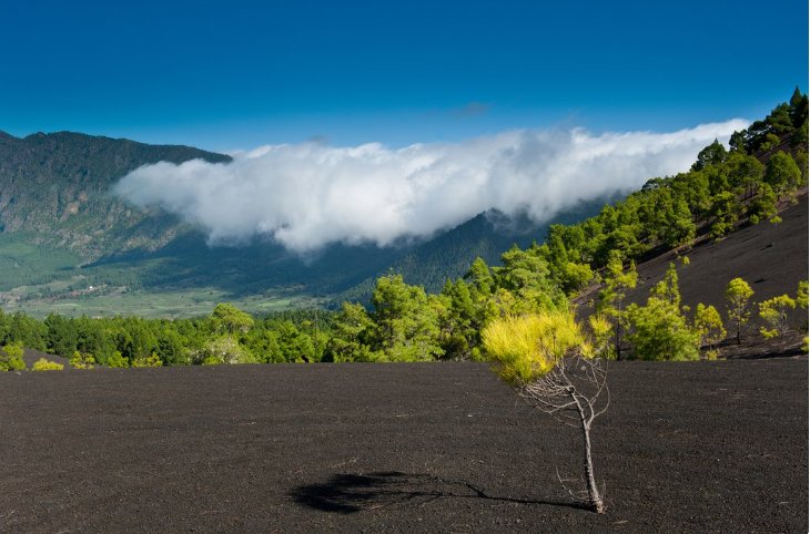 Lava landscapes in the island's interior