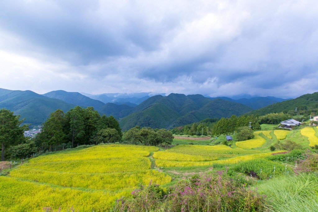 Countryside on the Kumano Kodo Trail