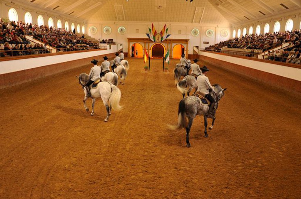 Royal Andalusian school of equestrian art