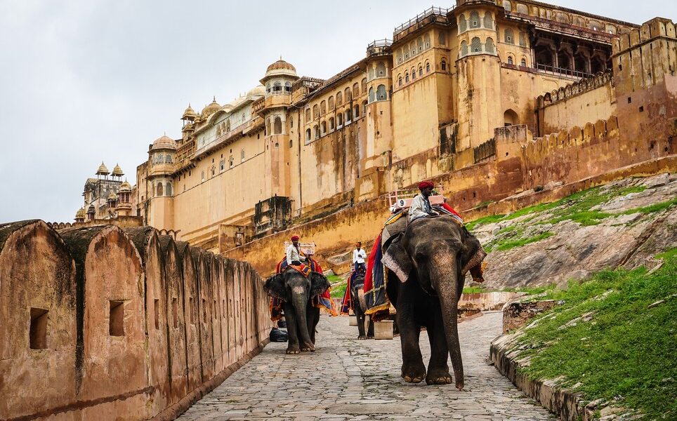 People Riding Elephants At Amber Fort In Jaipur, India