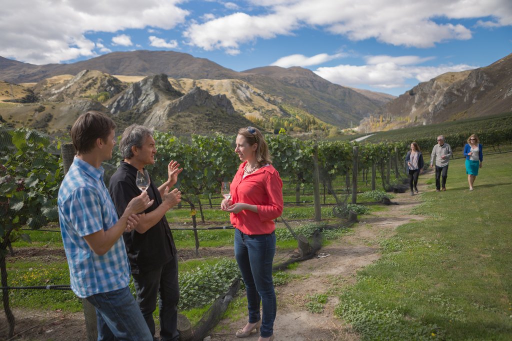 Explore the wineries