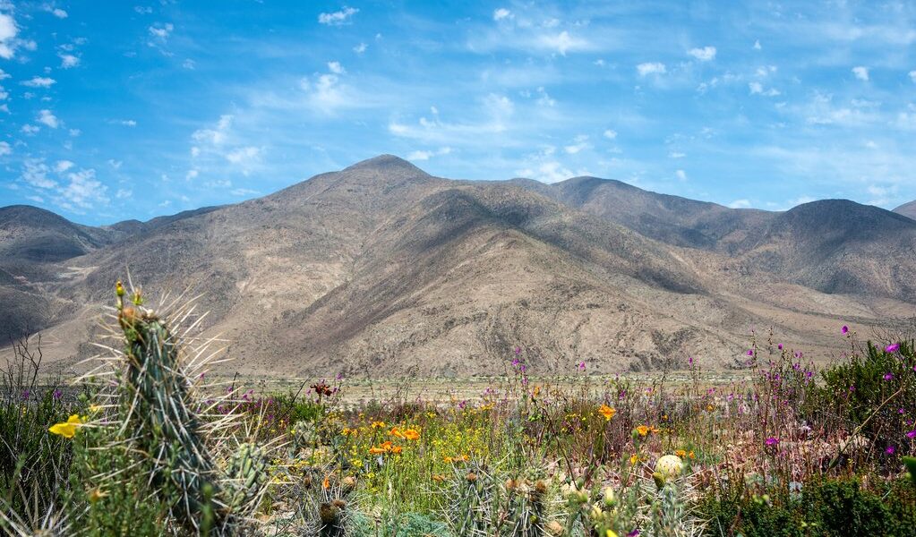 big-b7409f3874cde63cff6d8ed7bac73962