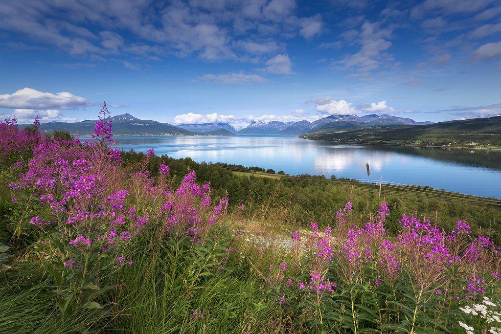Check out unique flora in this part of the world.
