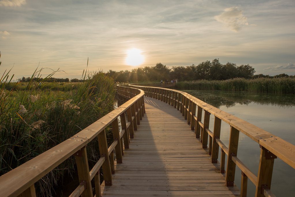 Take a pleasant stroll through Tablas de Daimiel National Park