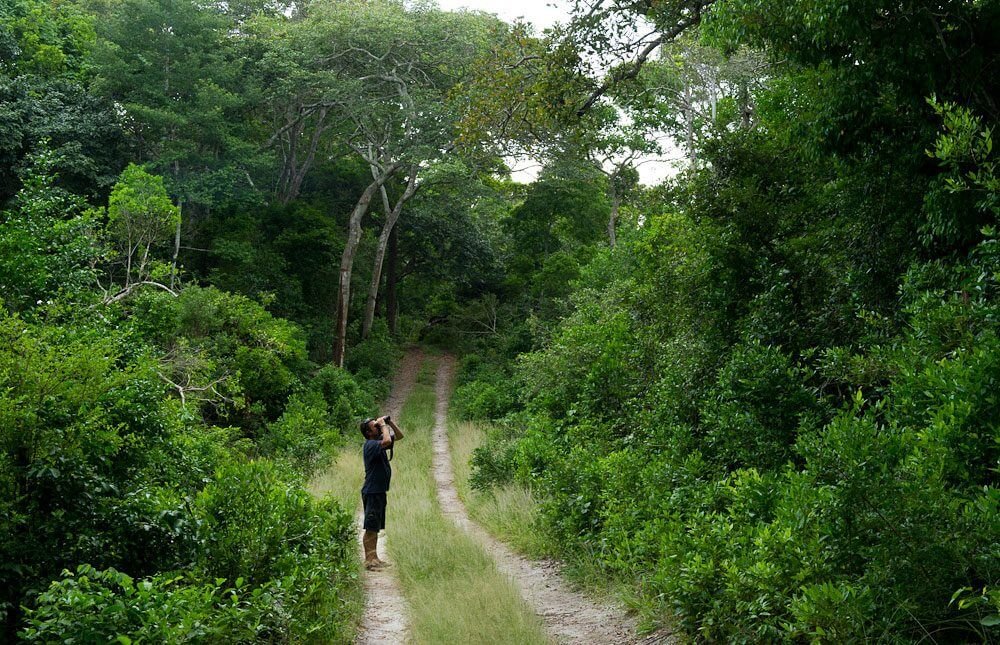 A birdwatcher on a Mount Kenya trail