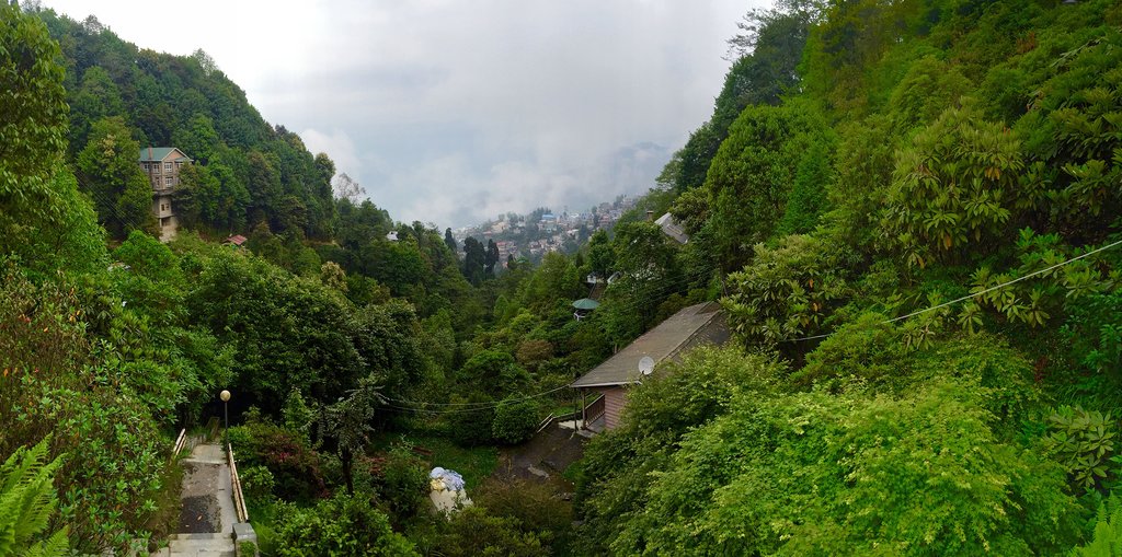 The rolling hills of Darjeeling