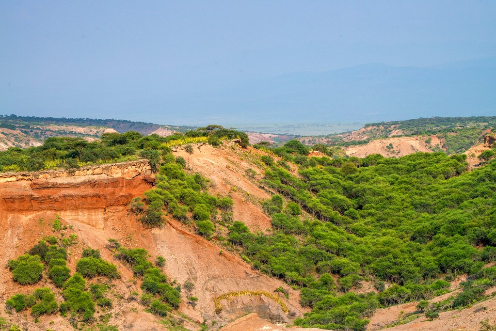 Stop by the Olduvai Gorge during today's drive