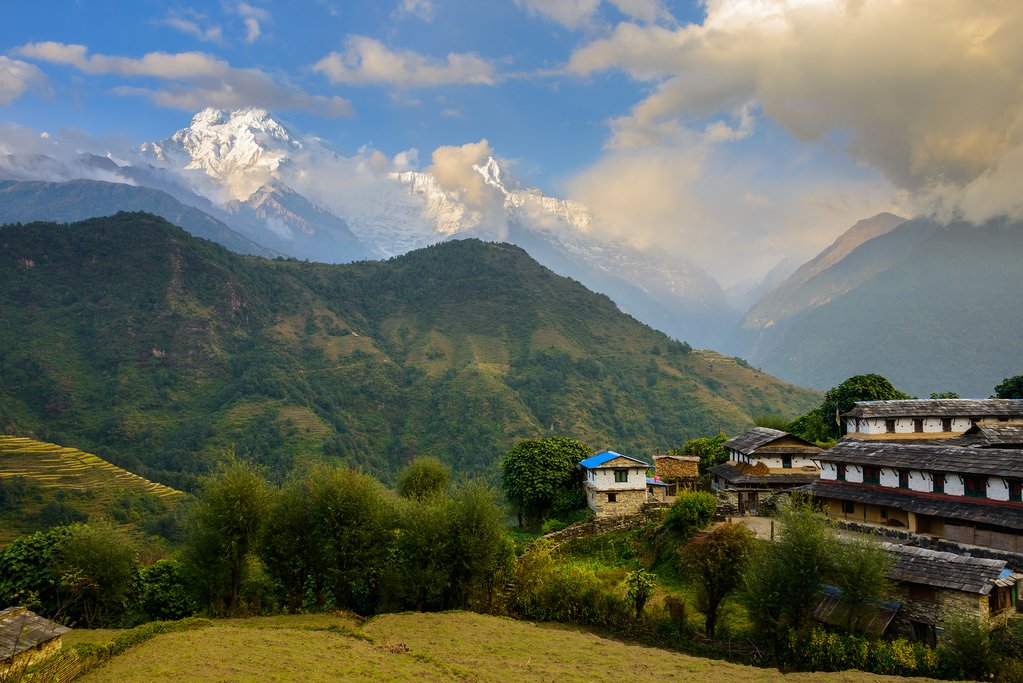The village of Ghandruk surrounded by paddy fields