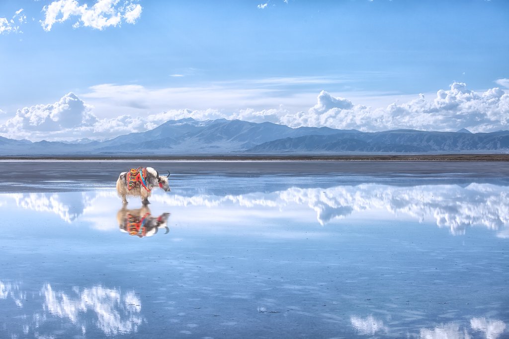 Qinghai Lake