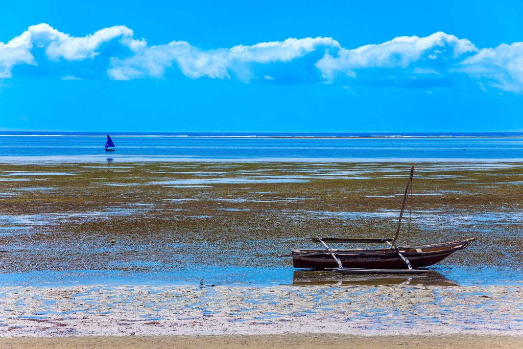 Warm Indian Ocean at Mombasa