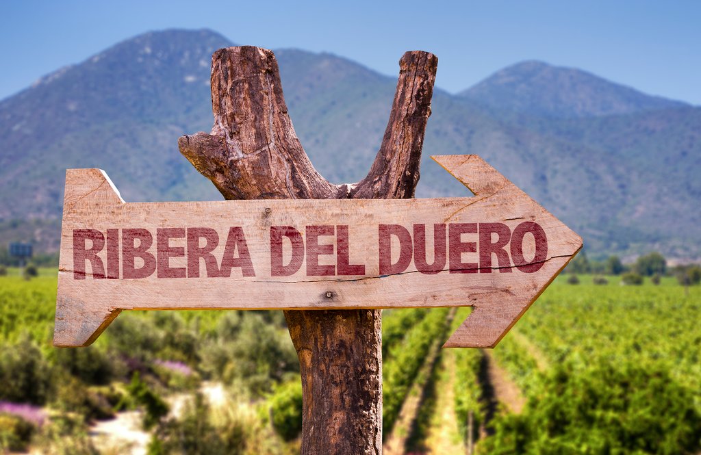 Onward to Ribera del Duero wine country