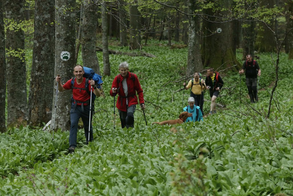 Hike along the Roška trail
