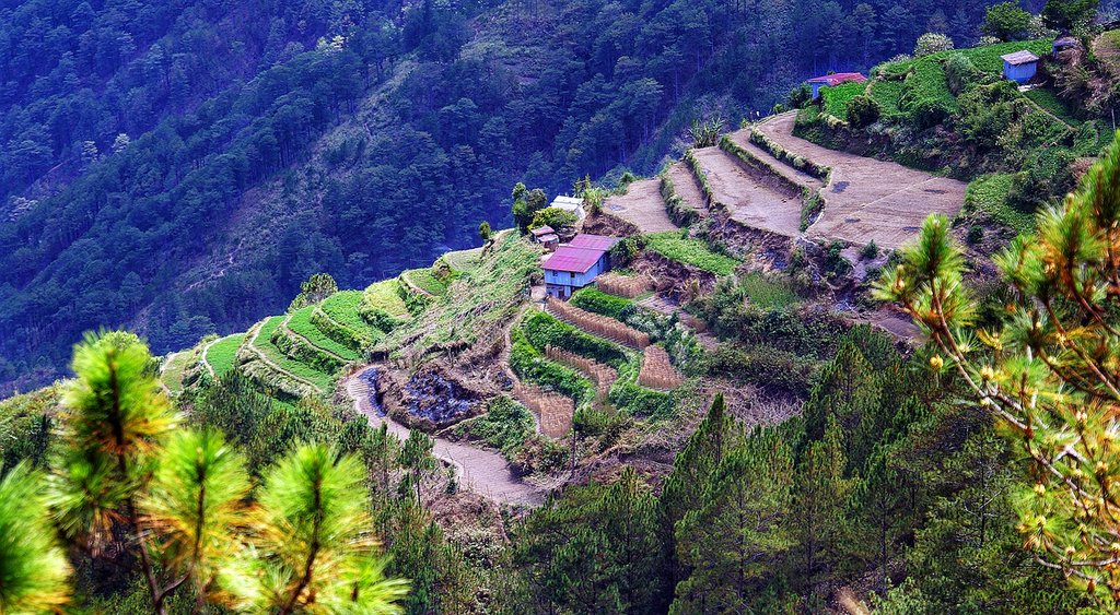 Banaue Rice Terraces