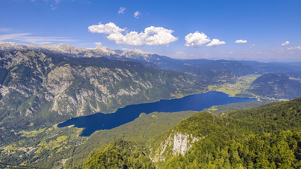 Lake Bohinj from above