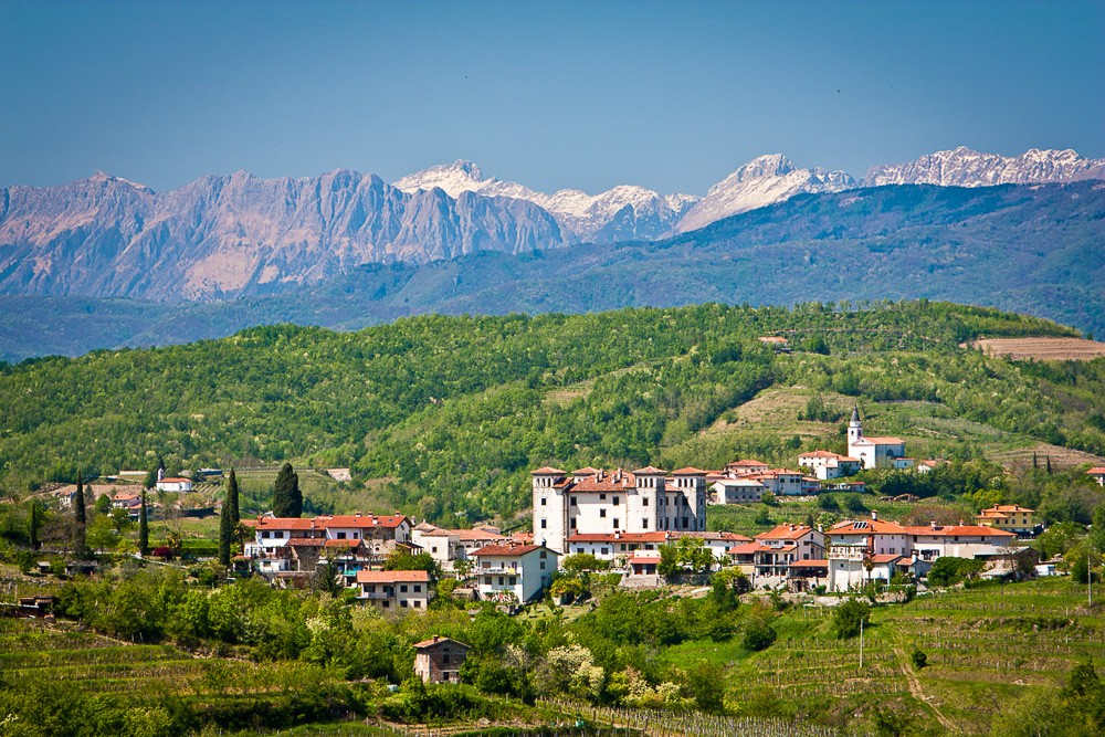 The rolling hills of Goriška Brda