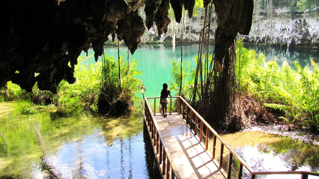 Los Tres Ojos National Park Excursion