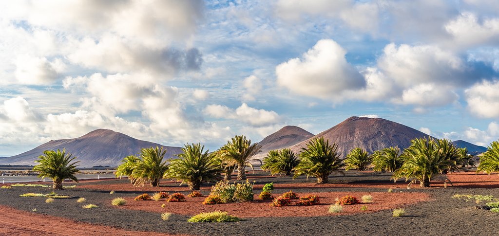 Volcanic Landscape of Lanzarote
