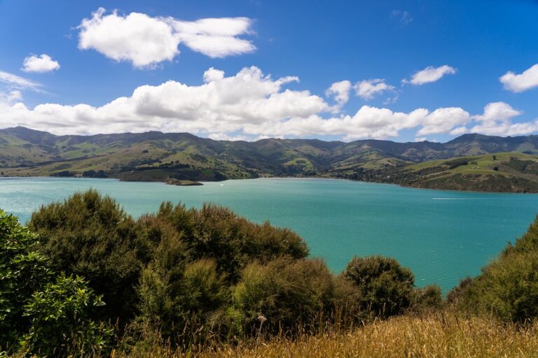 South Island Tour: Christchurch, Akaroa & Hanmer Springs - 5 Days