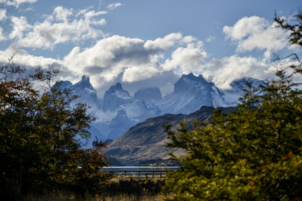 los torres