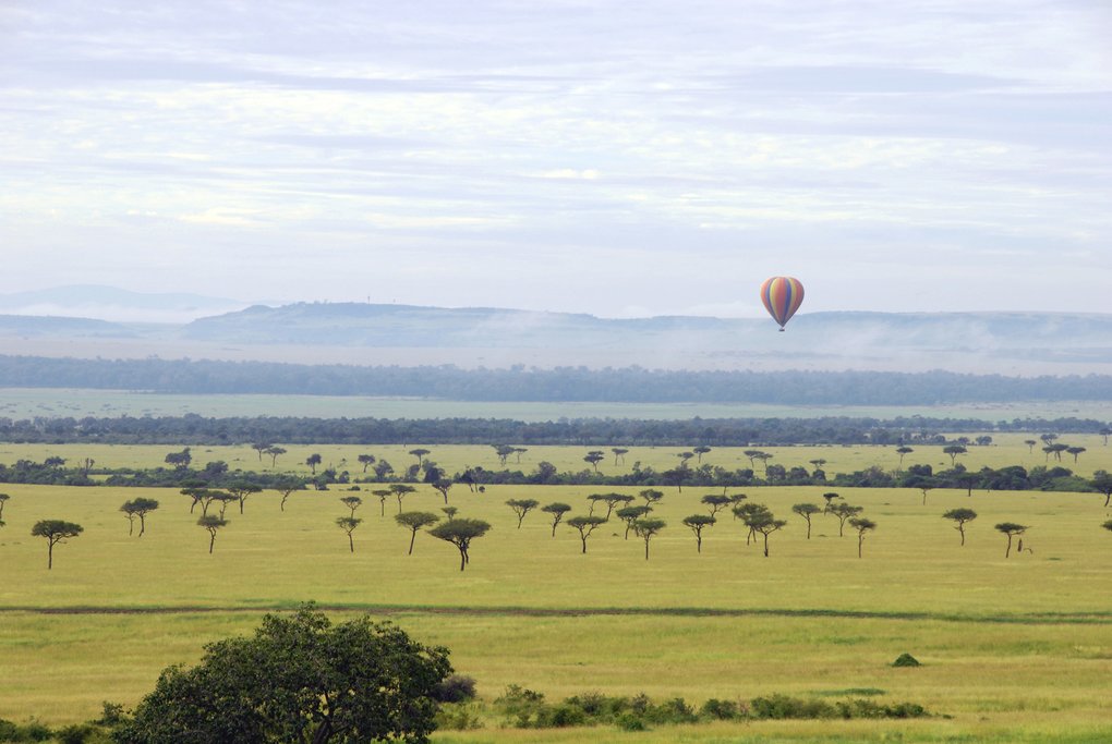 Hot Air Balloon Over the Savanna