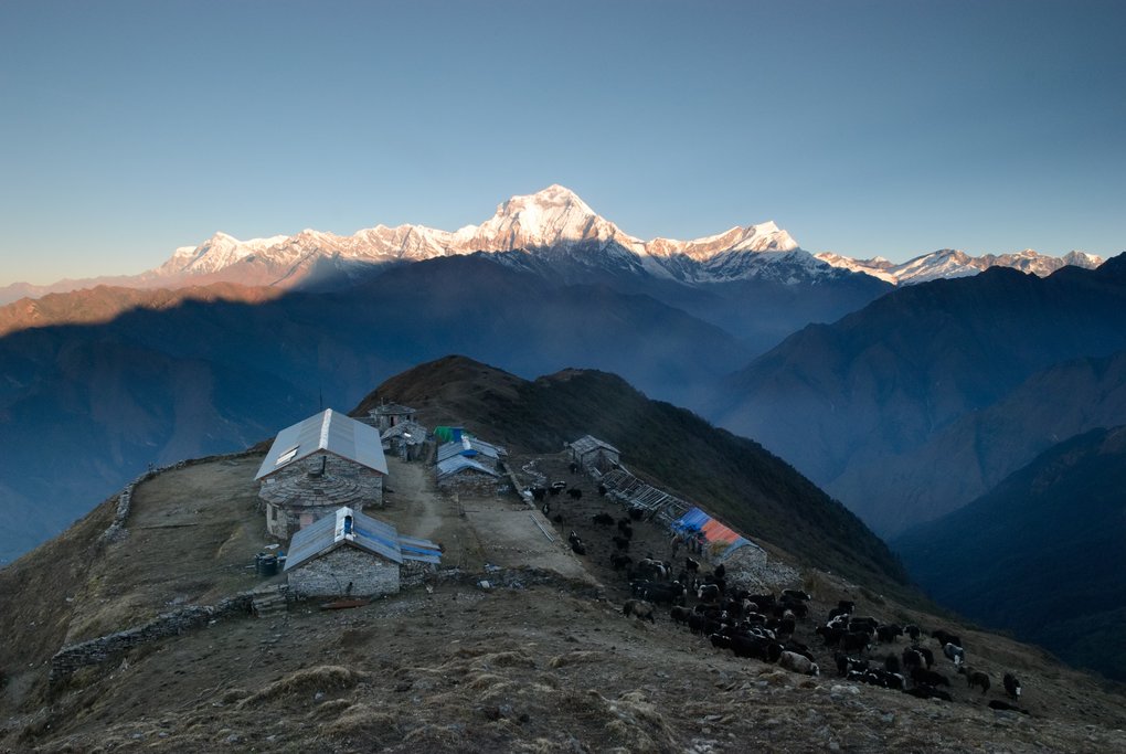 The view of Dhaulagiri from Khopra Danda