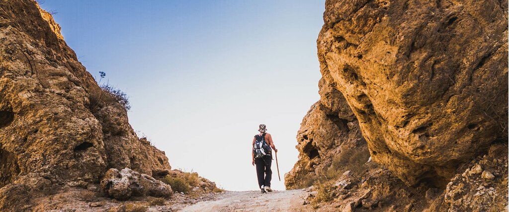 Trekking from El Faid to  EHEDAT  (Dana to Petra) 