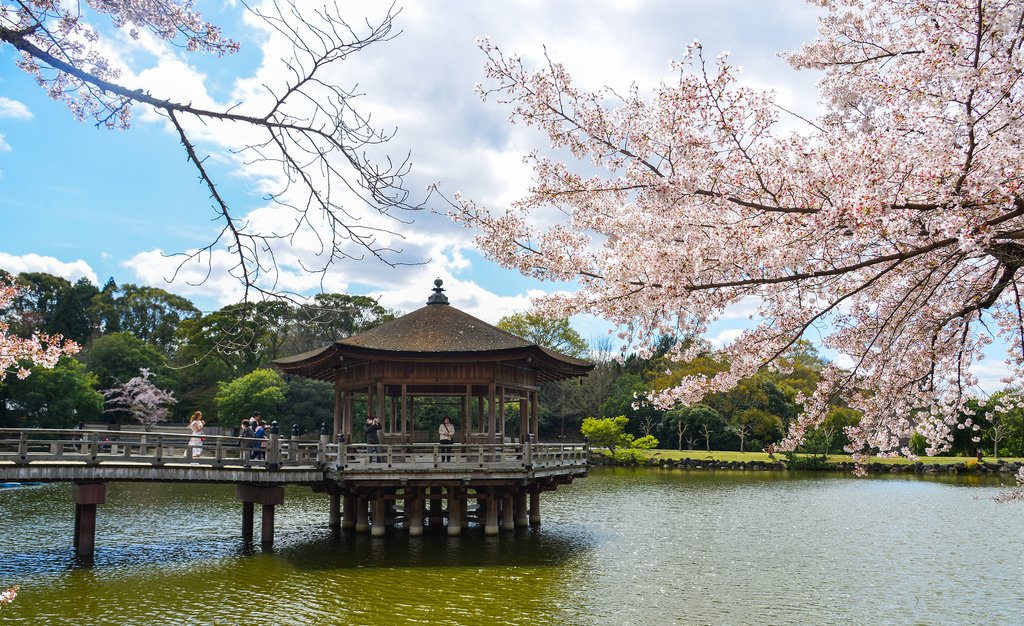 Nara Park