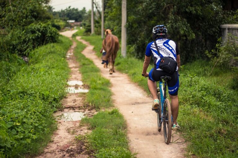Cycle Myanmar - 14 Days