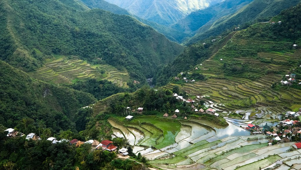 Banaue village homes and rice terraces