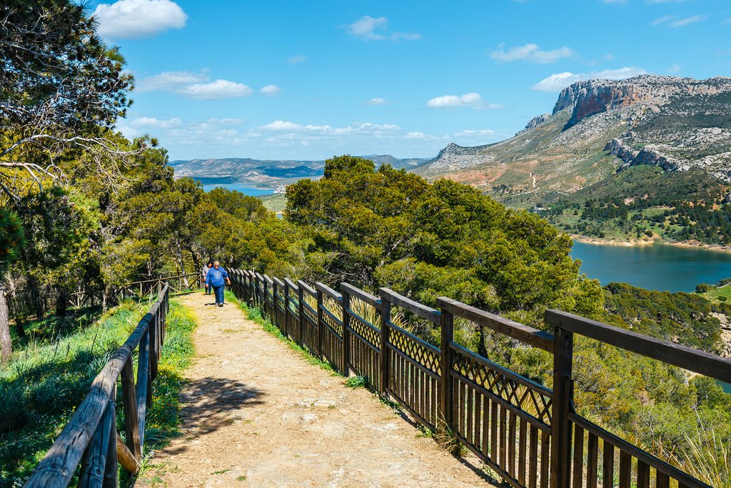 Hiking Trails and Viewpoints in Las Nieves Nature Park