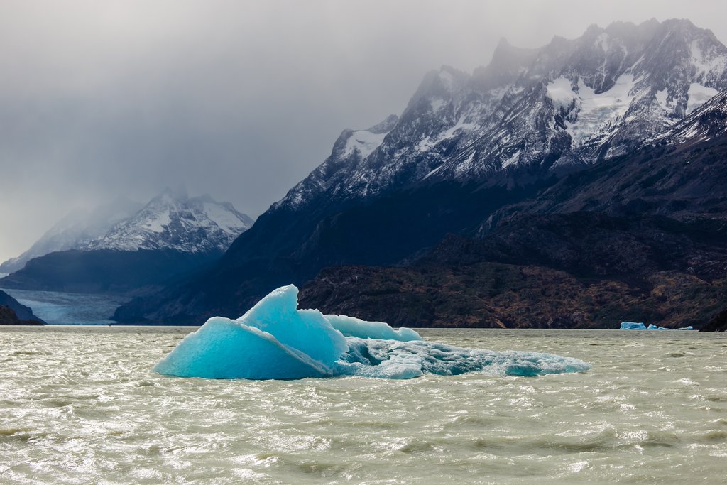 Boat past floating icebergs on your way to Grey Glacier