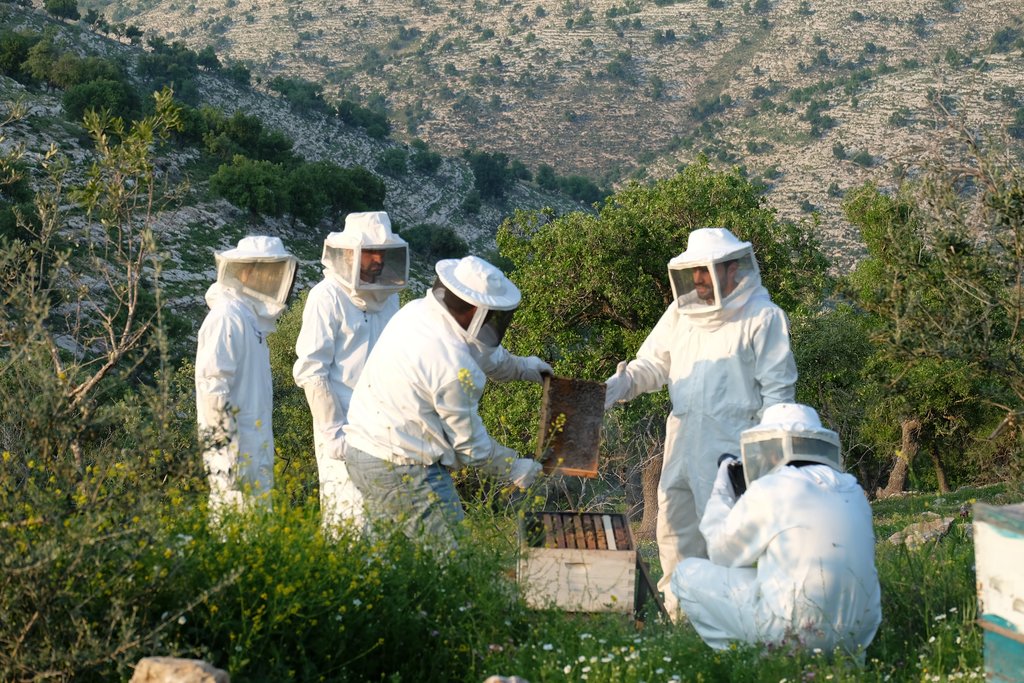 Visitors learn about beekeeping from a local expert (Photo by Roddy Boyle)