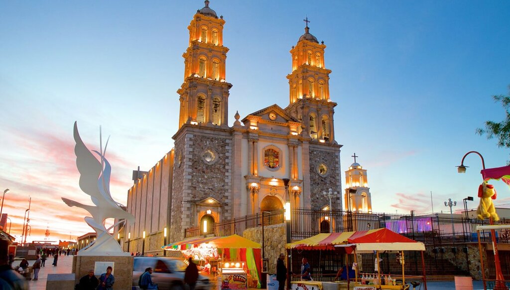 Chihuahua's City Tour