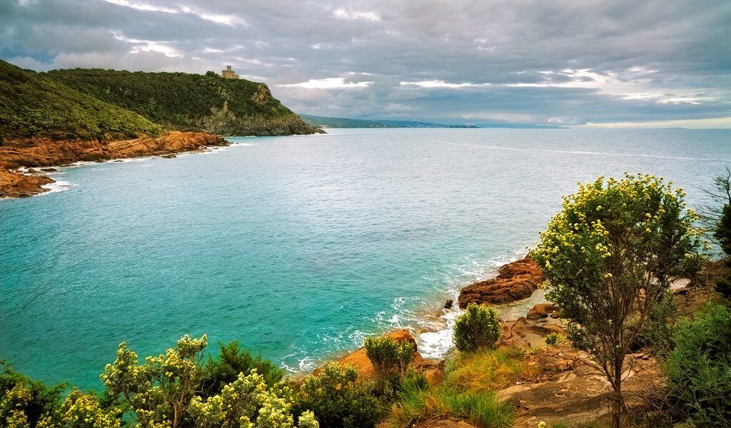 big-cb828f7c45c92478090f5e236e8698c1